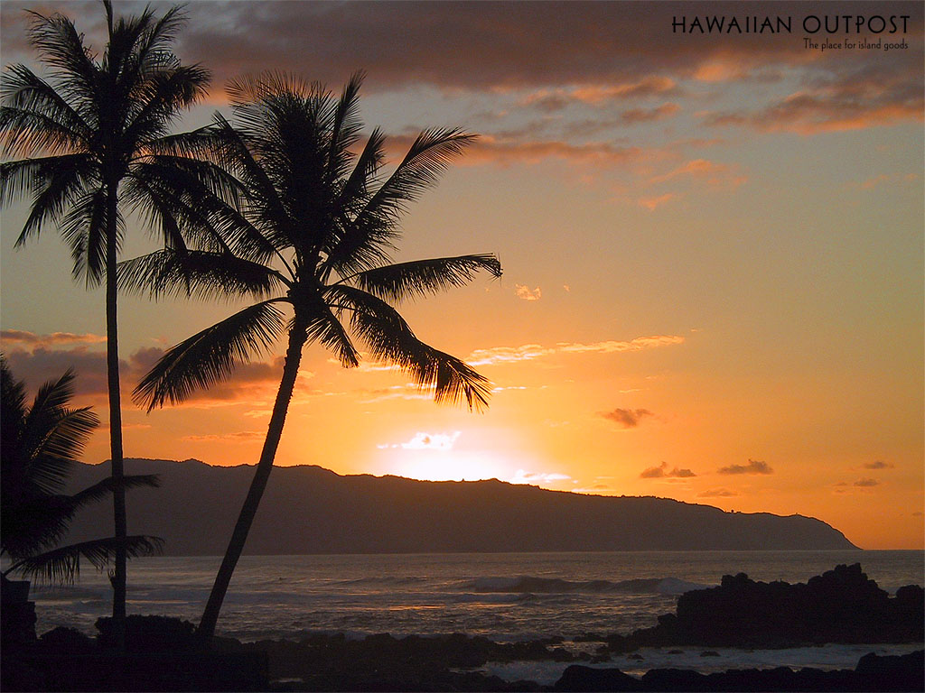 blogs goblogs Hawaii Sunset Desktop Wallpaper 1024x768