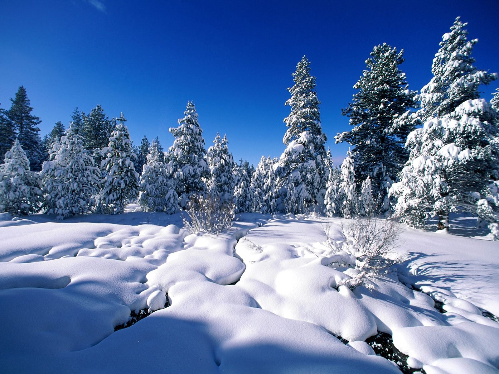 Winter Christmas Desktop Background   Viewing Gallery 1600x1200