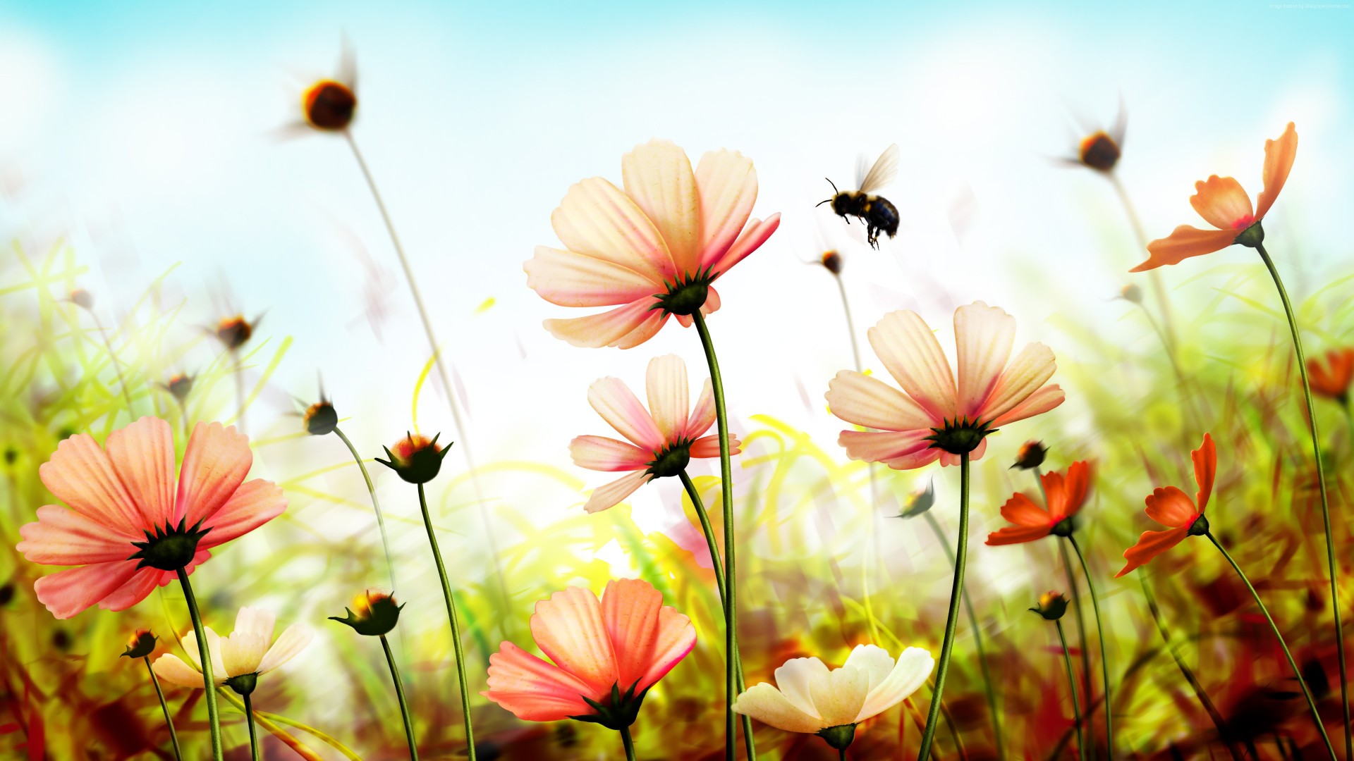 Nature Flowers   HD Wallpapers Backgrounds of Your Choice 1920x1080