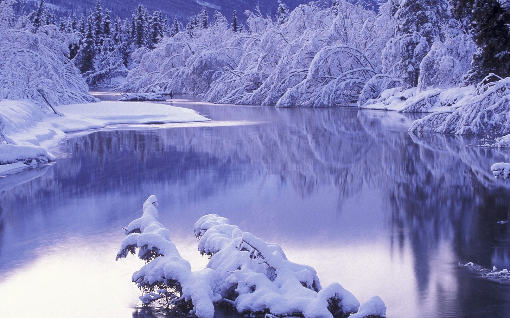 10 winter landscapes Cute wallpapers 1680x1050