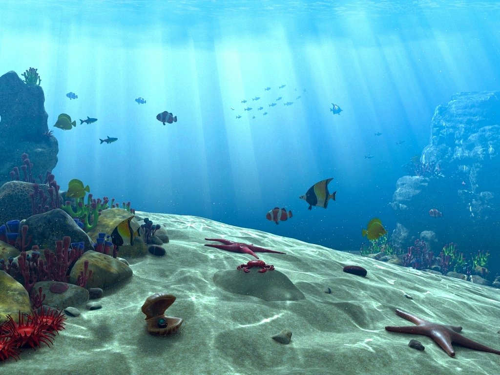 Underwater Ocean Scene Wallpaper Underwater scene by akchilug 1024x768