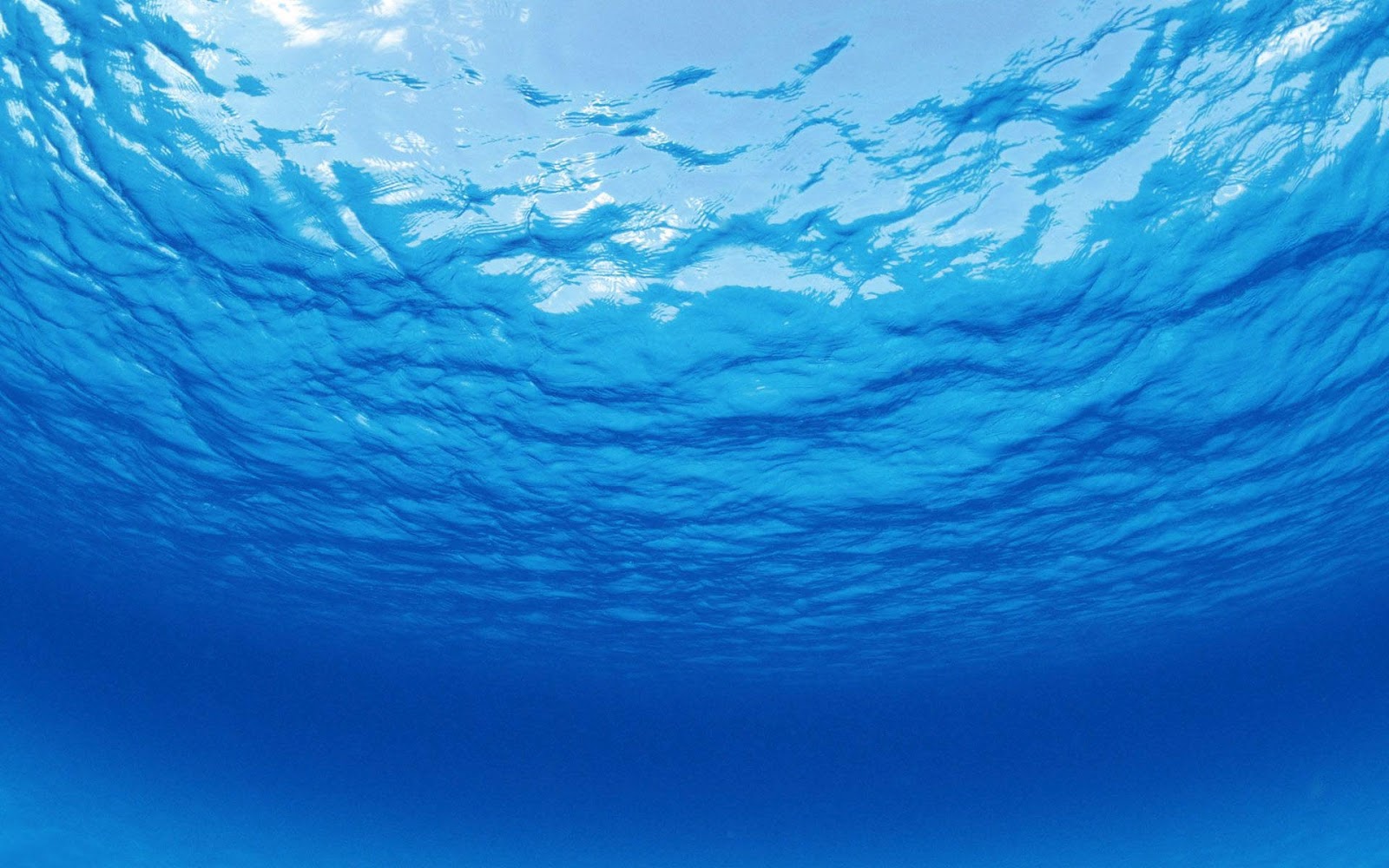 Under Ocean Background wallpaper wallpaper hd 1600x1000