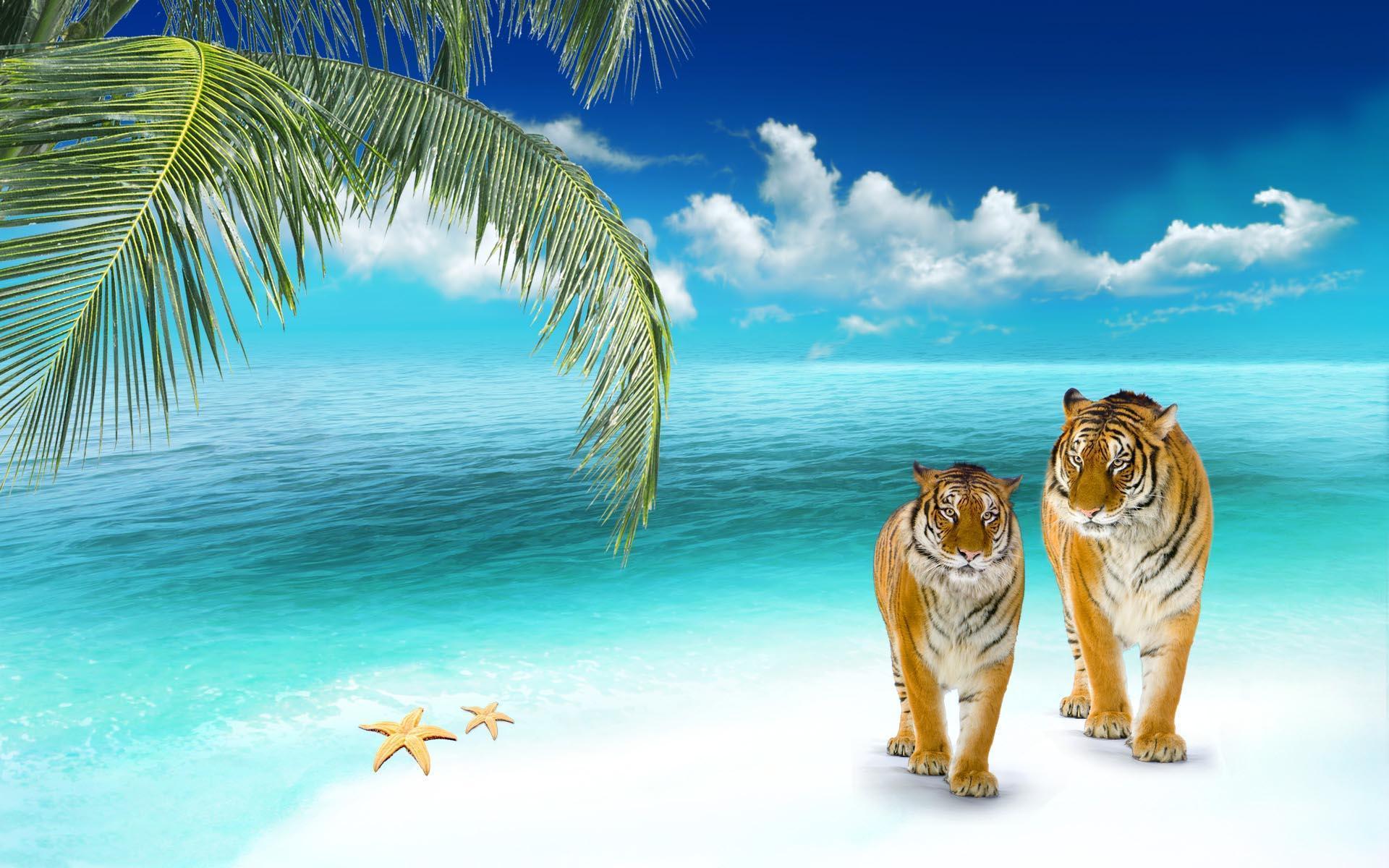 3D Beach Wallpapers 1920x1200