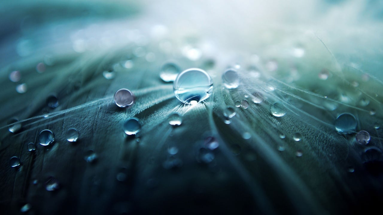 Download | Close window | Go Home