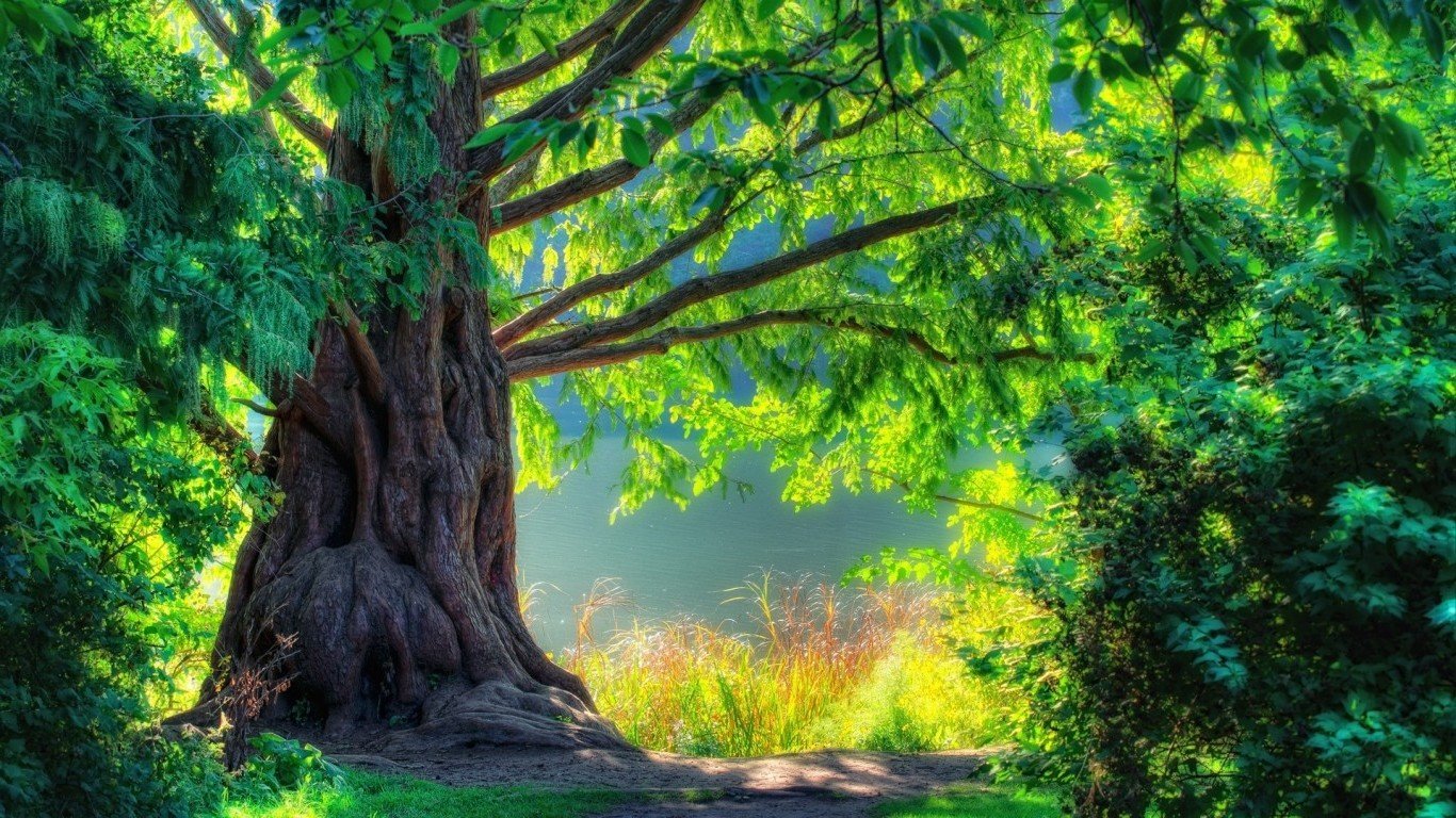 HD Wallpapers 1080p Nature 3D 1366x768