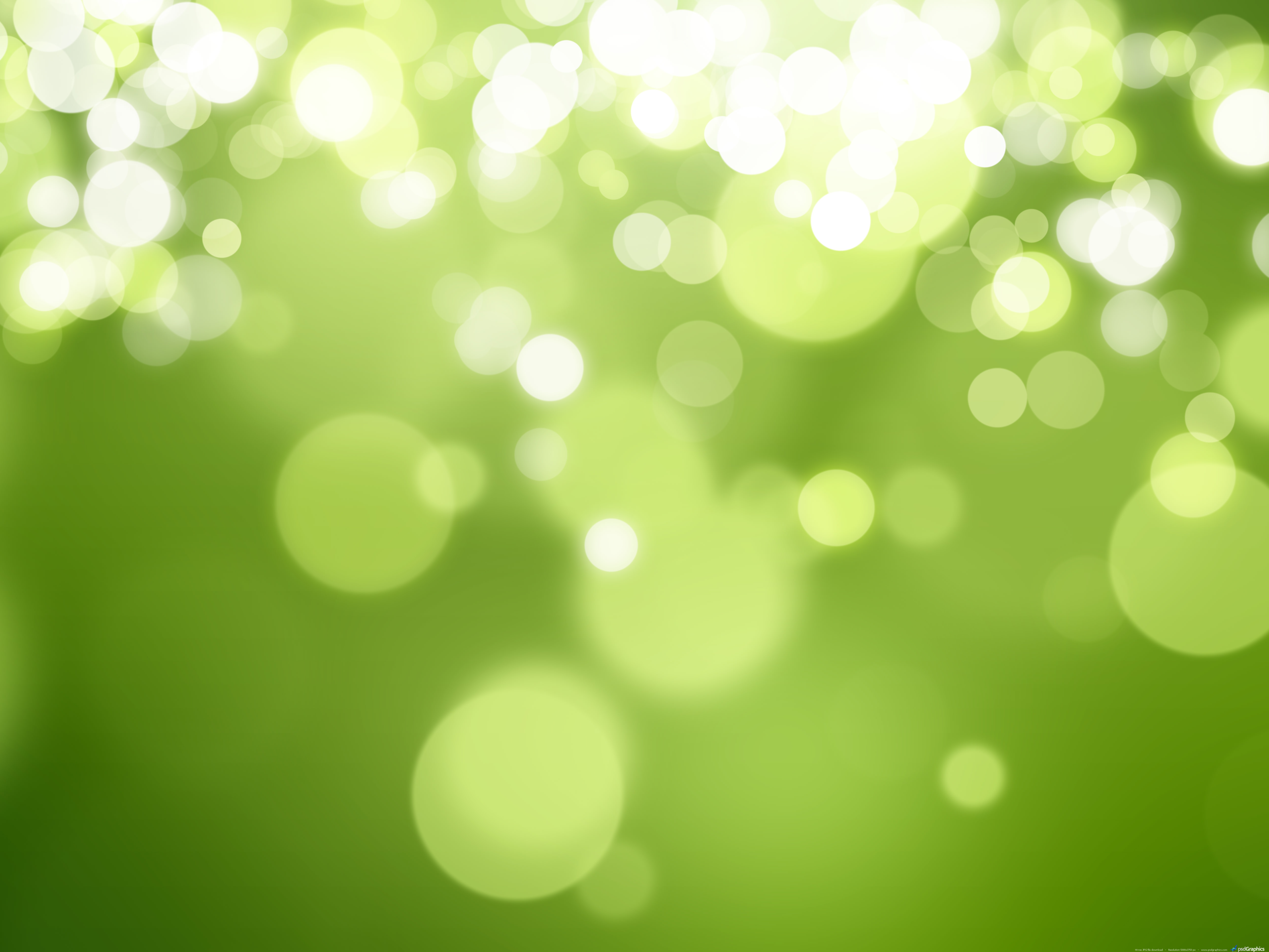 16 Green Nature Backgrounds Wallpapers FreCreatives 5000x3750