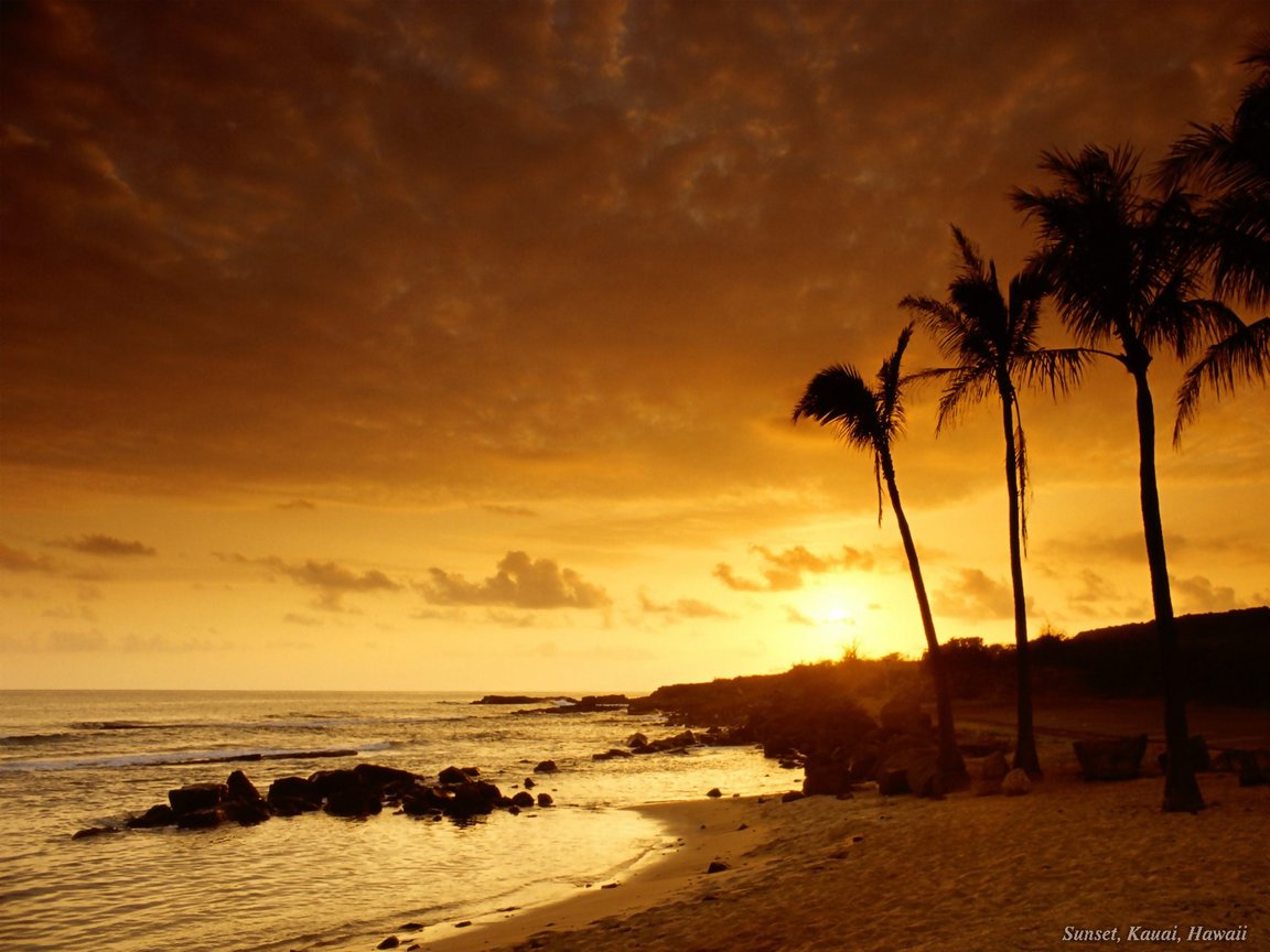 Beach Sunset Wallpaper 1152x864