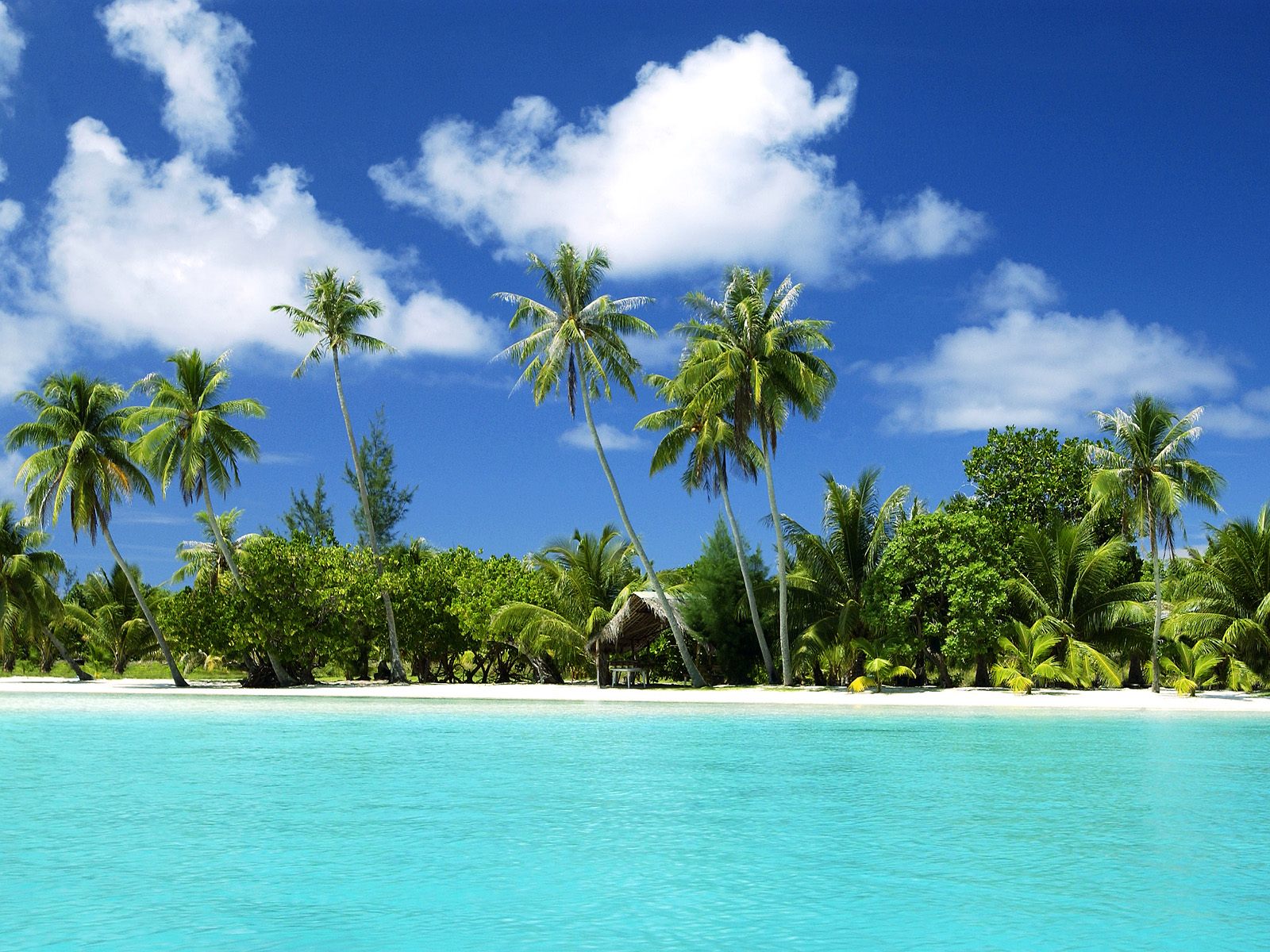 World Visits Tropical Island Beach Wallpaper Review 1600x1200