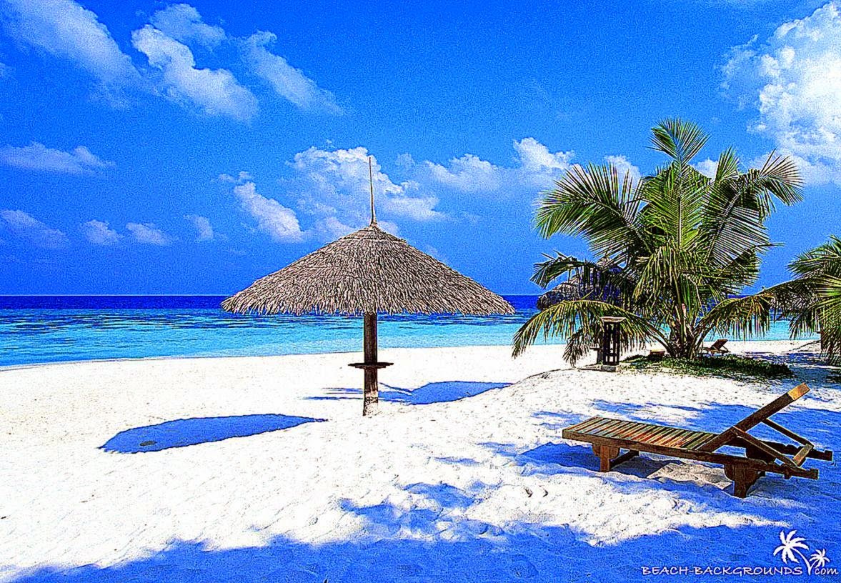 tropical beach on pinterest description like filename tropical beach 1177x816