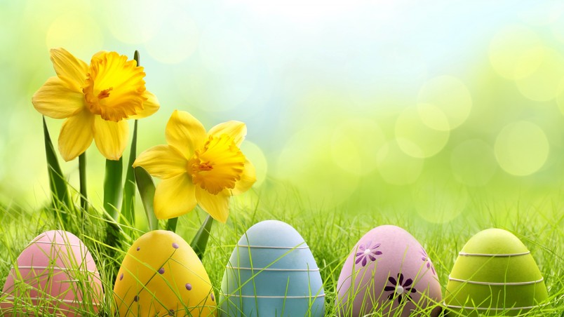 Cute Easter Eggs HD Wallpaper   WallpaperFX 804x452