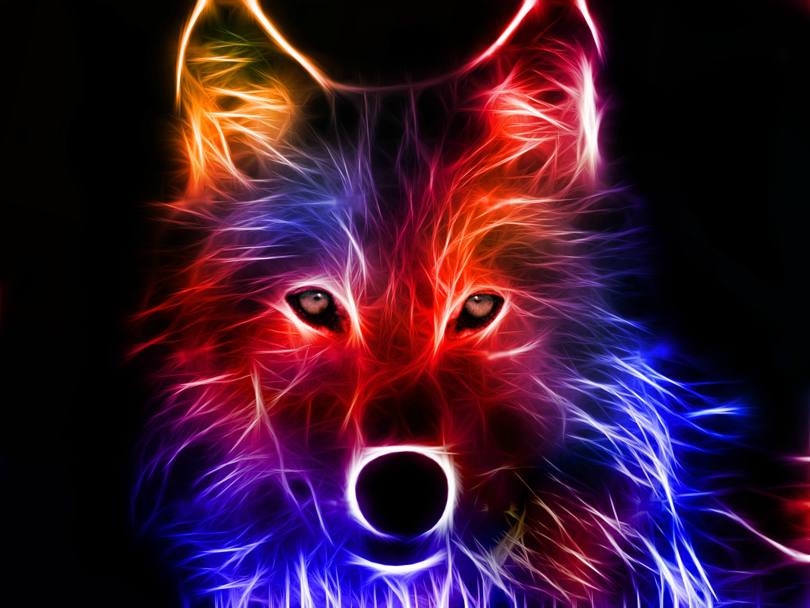 fox hd 3D wallpaper images Free wide wallpapers download Free