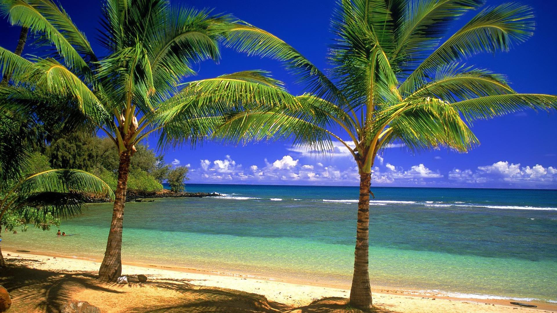 beach wallpapers beach hd wallpapers beach hd wallpapers beach hd 1920x1080