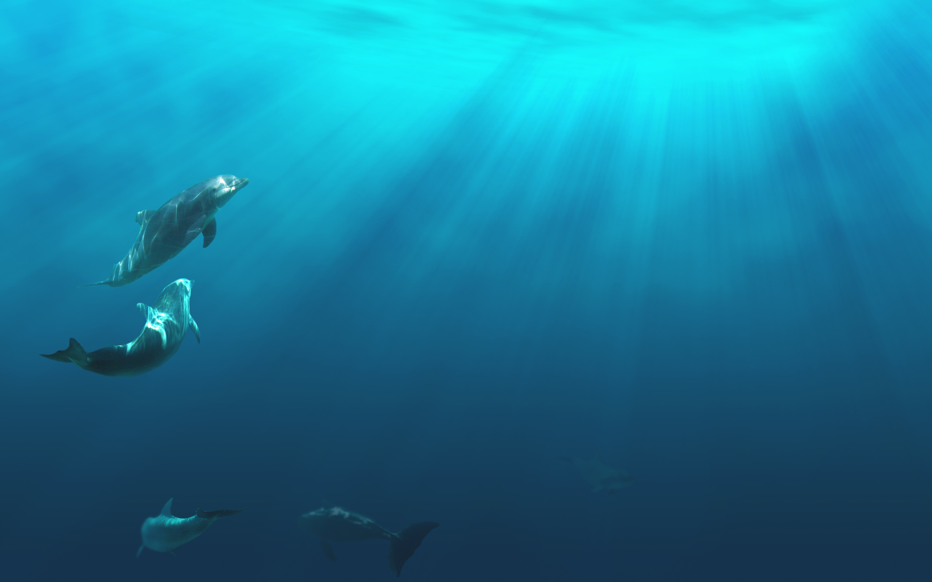  ocean life underwater ocean floor background ocean water background 1920x1200