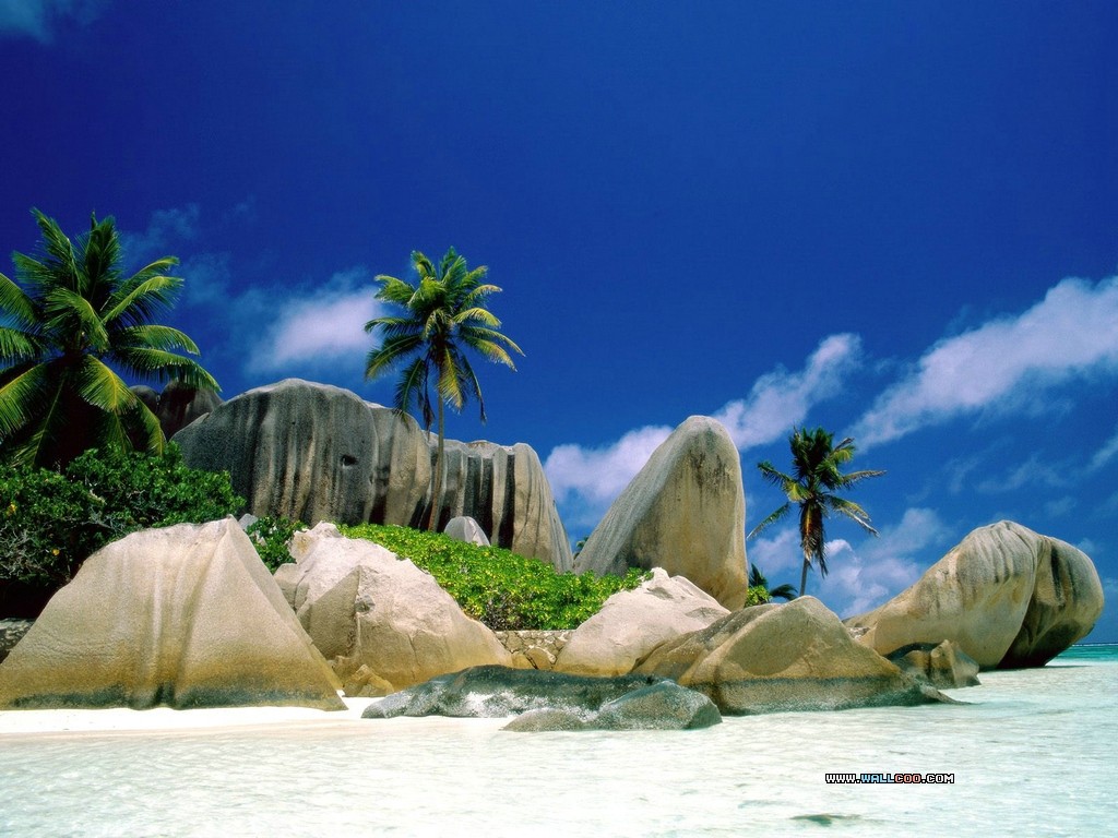 Tropical Island Wallpaper 8673 Hd Wallpapers in Beach   Imagescicom 1024x768