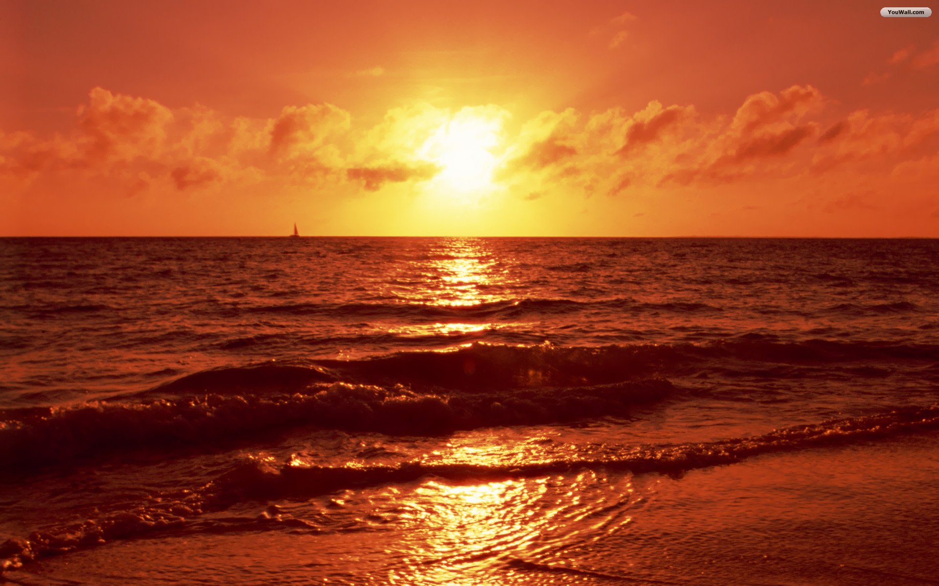 Beach Sunset Wallpaper Image Picture Wallpaper with 1920x1200 1920x1200