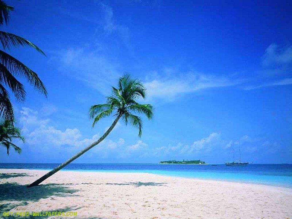 Download Beautiful Beach Scene Wallpaper 1024x768