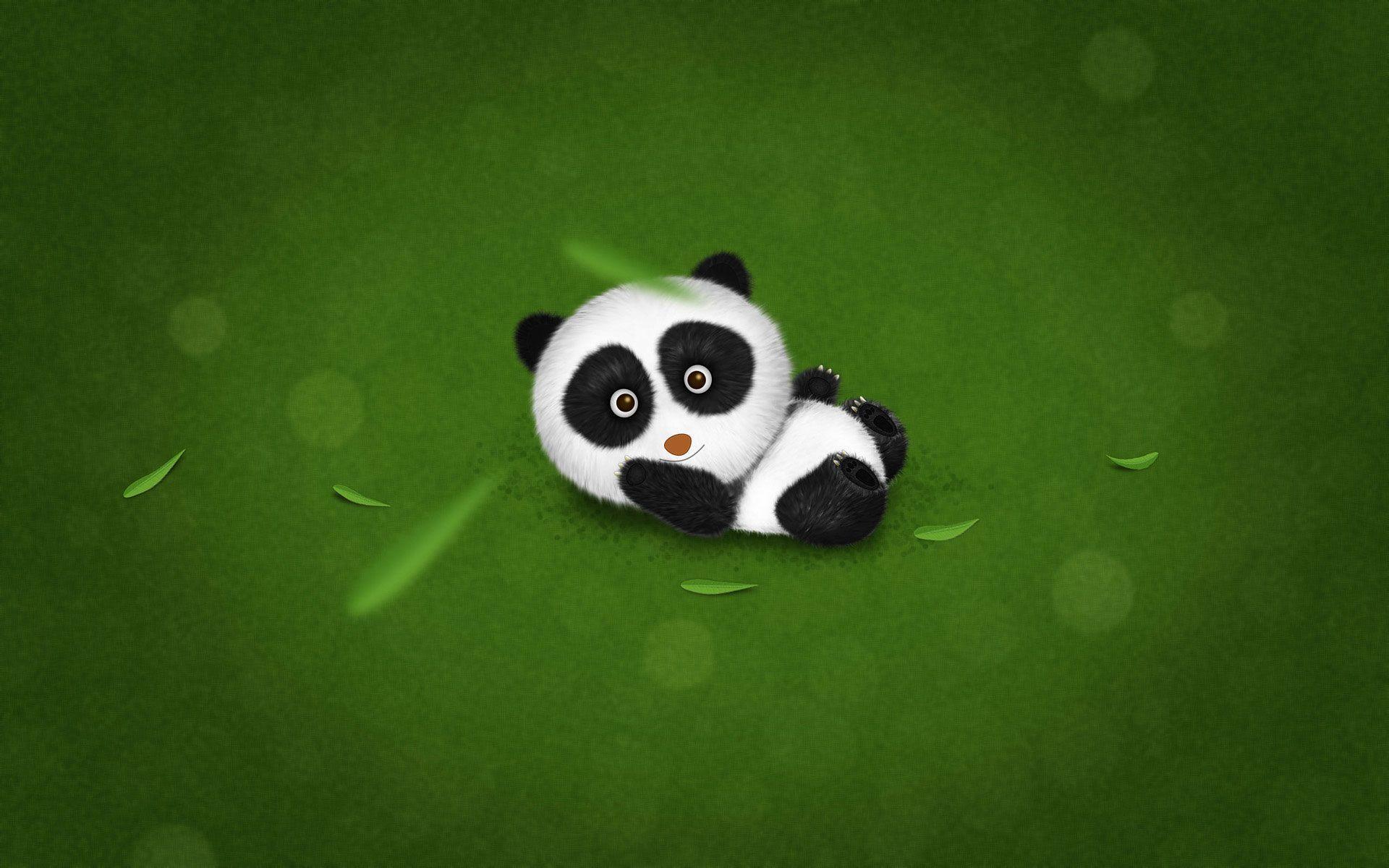 Cute Panda Backgrounds 1920x1200