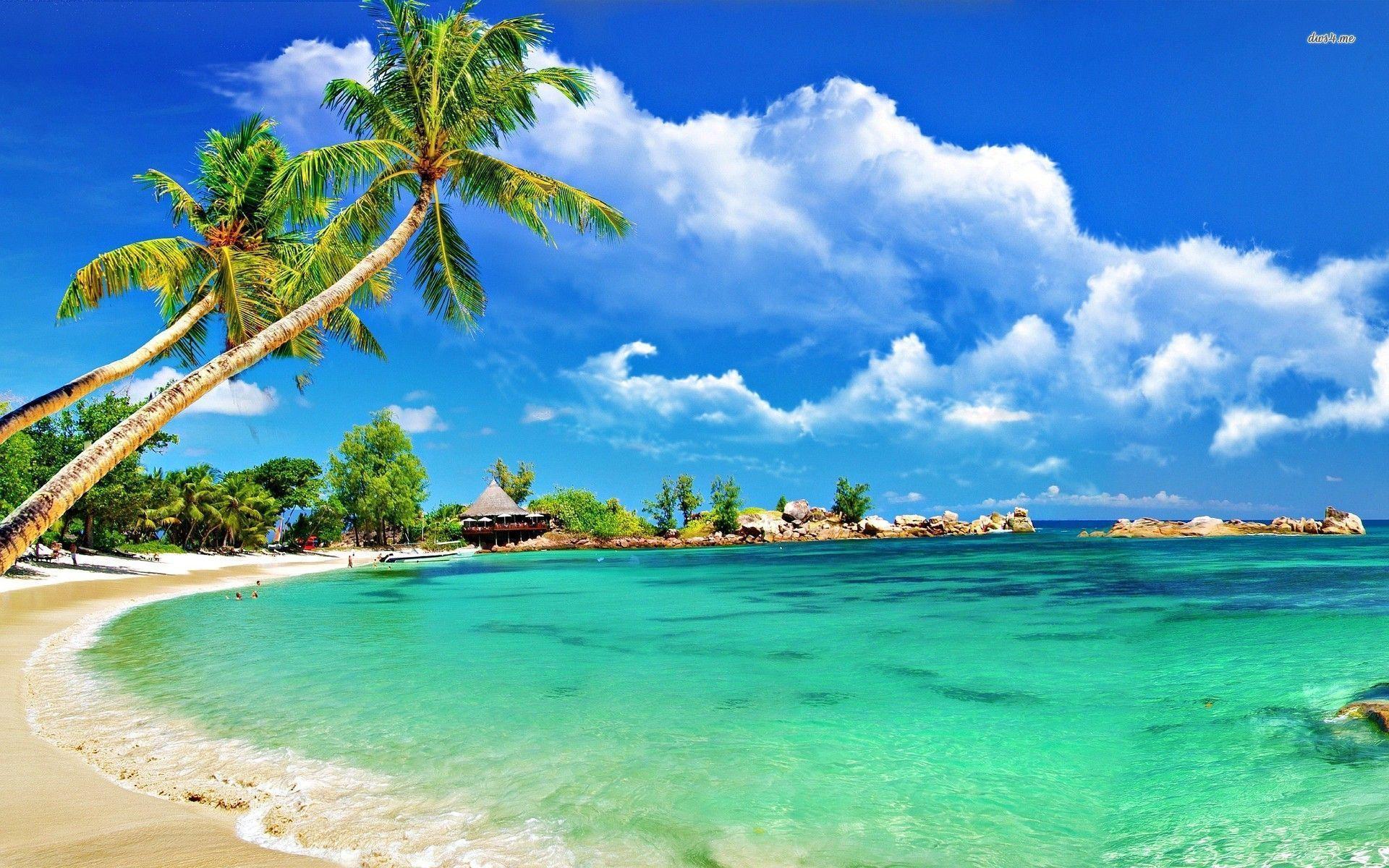 Tropical Beach Wallpapers Desktop 1920x1200