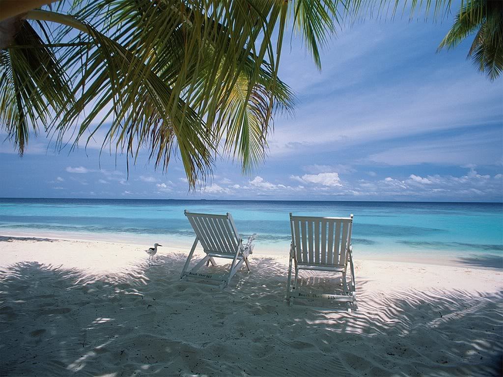 Tropical Beach Wallpapers Cool Wallpapers 1024x768