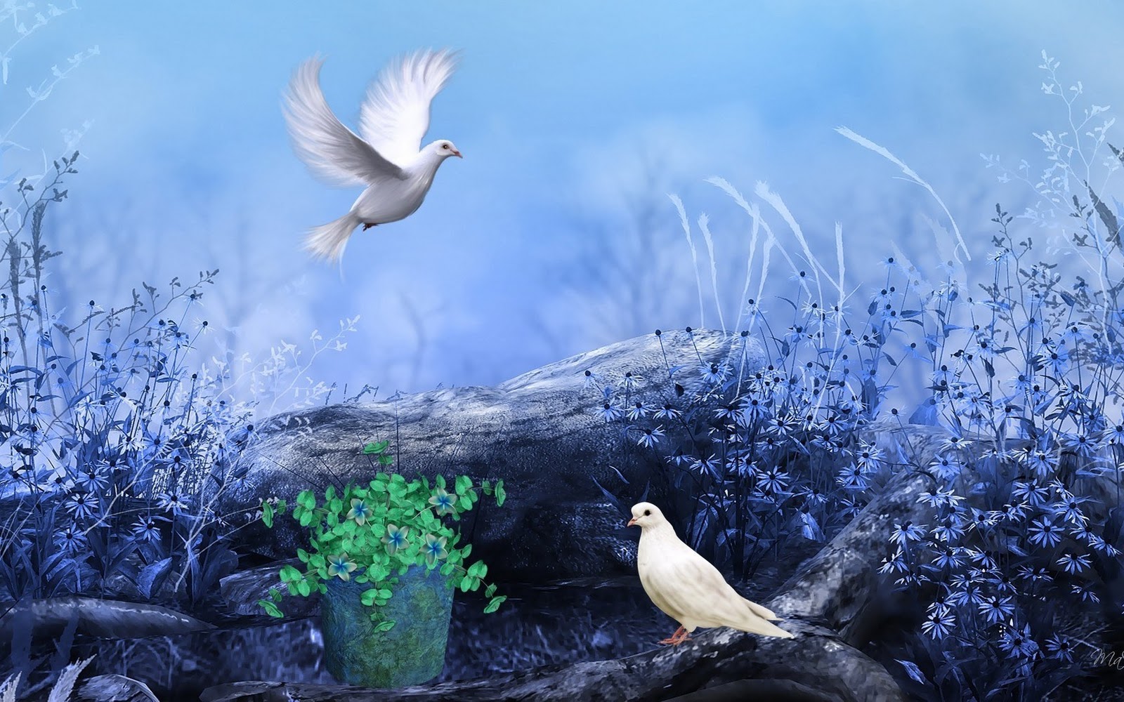  Pigeons Nature Flowers Colors Paint HD Wallpapers Love Wallpapers 1600x1000