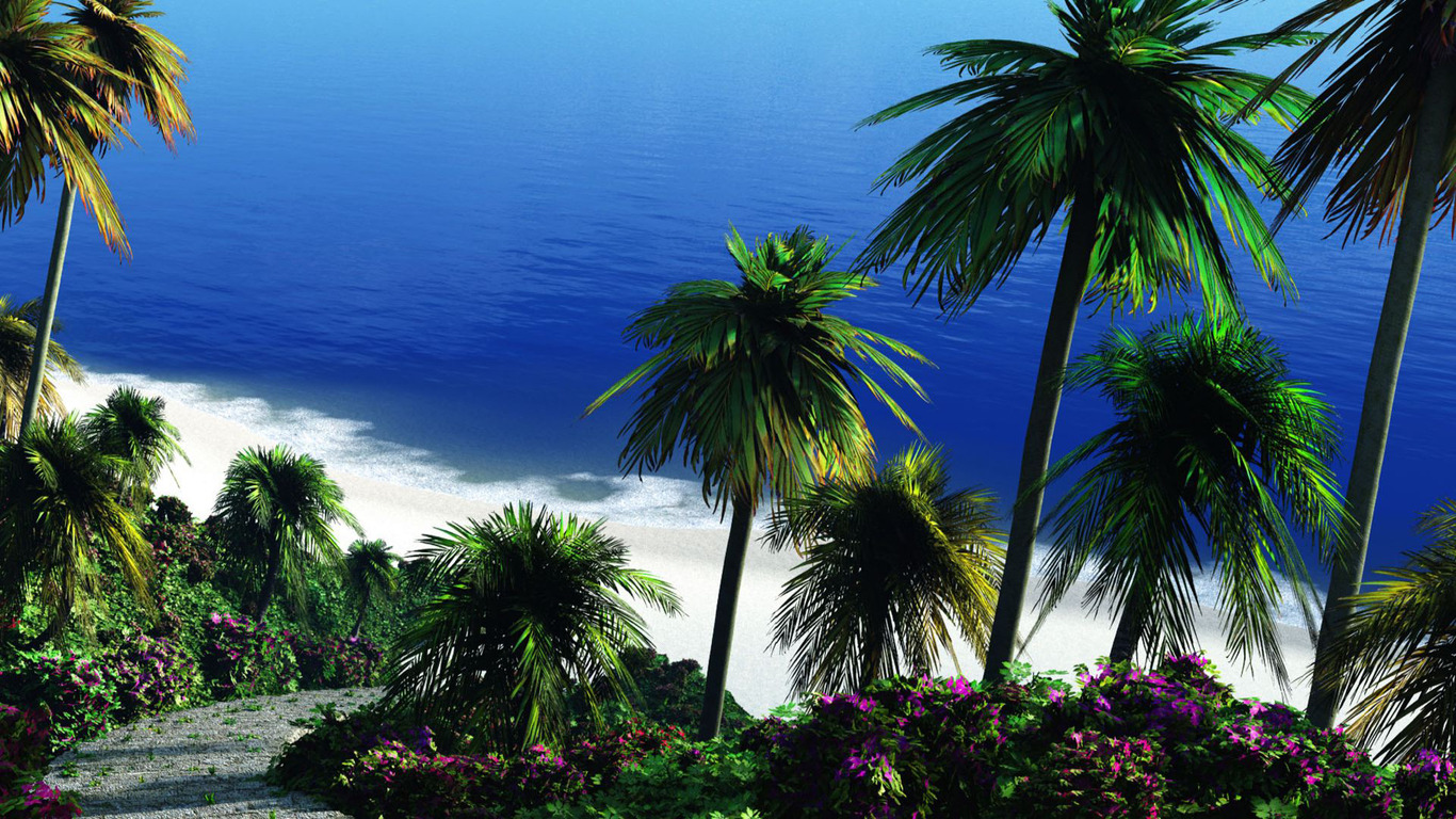 Tropical beach wallpaper 6869 1366x768