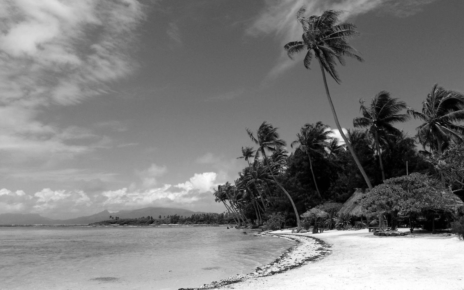 Black and White Wallpapers Black and White Beach Landscape HD 1600x1000