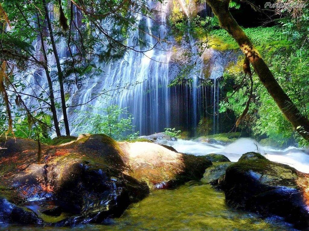 Funzugcom So Nice Nature Wallpapers 1024x768