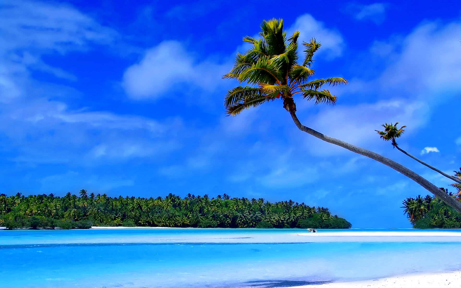 The Caribbean islands wallpaper   Beach Wallpapers 1920x1200