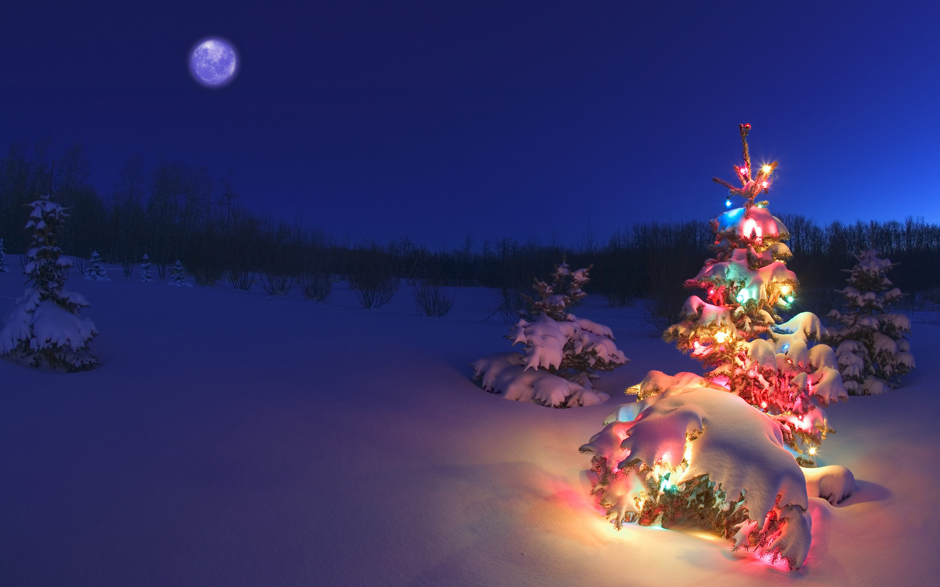 Wallpaper Of A Christmas Tree In Snowy Night 1920x1200