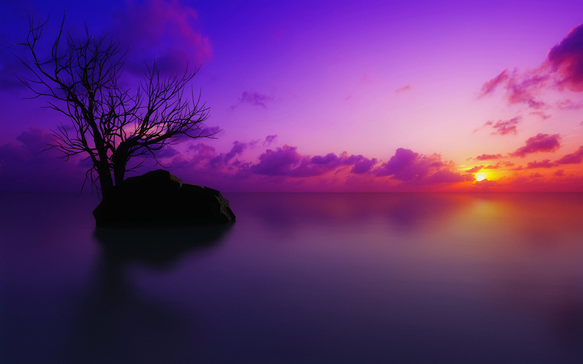 purple sunset wallpaper 1920x1200 1006112jpg 1920x1200