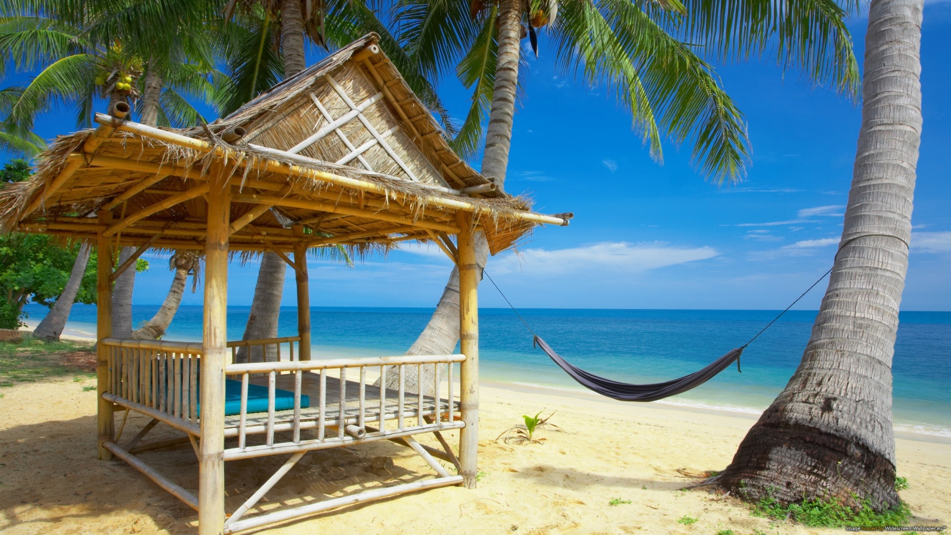 Tropical Beach Wallpaper Wallpapers9 1920x1080