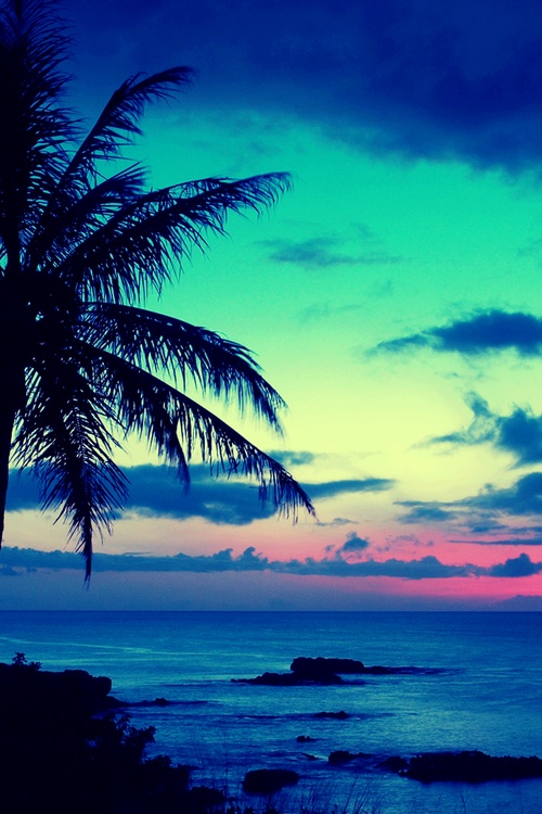 tropical sunset background 500x750