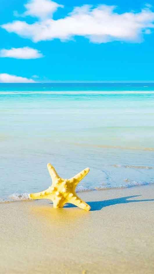 Summer Beach Iphone 5 Wallpapers 530x941