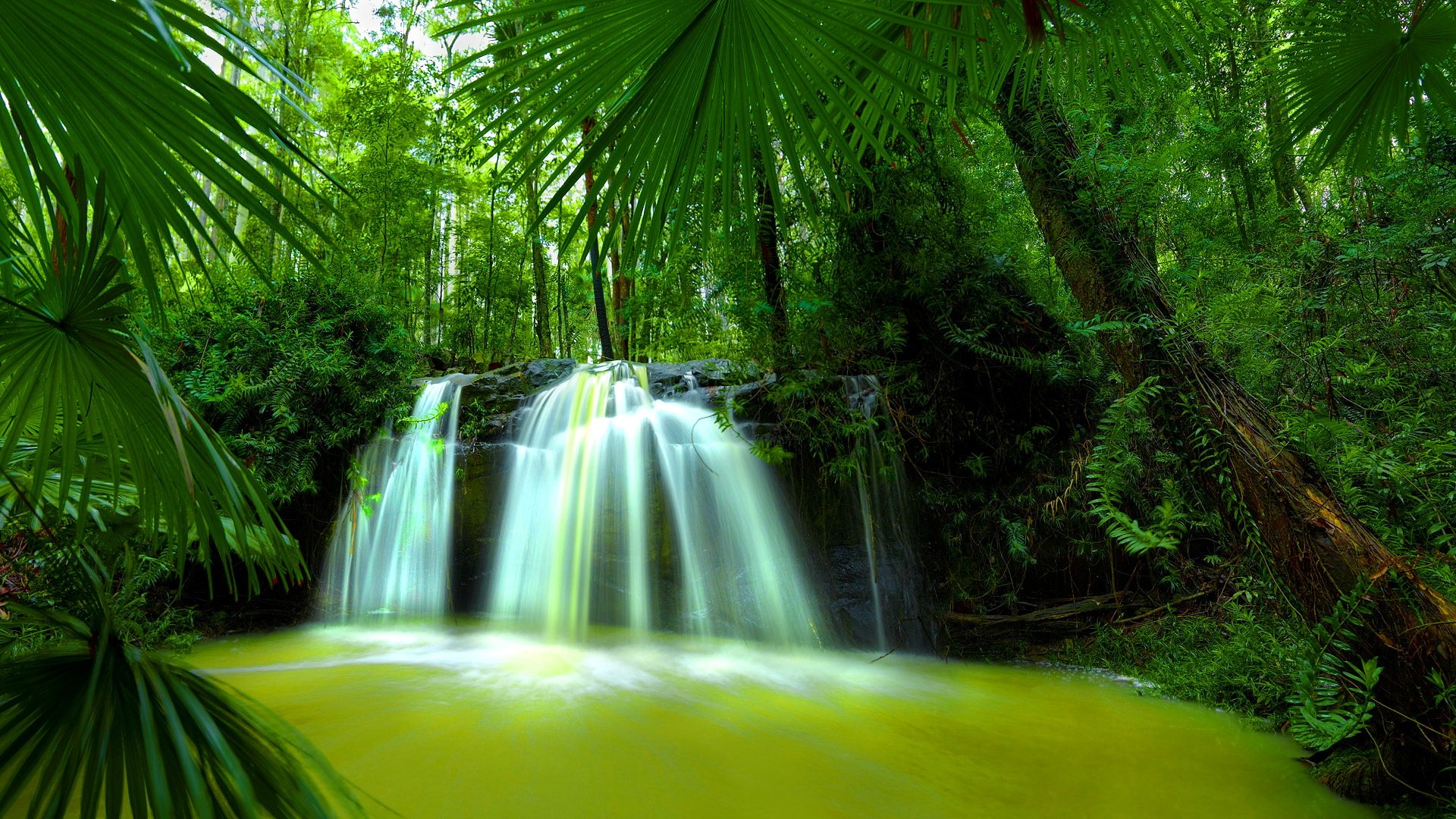 Download Beautiful Nature Waterfall Green Forest HD Wallpaper Search 1920x1080