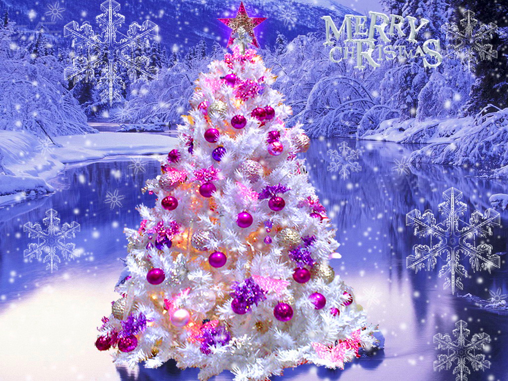 Beautiful Christmas Tree   Christmas Wallpaper 27617948 1024x768