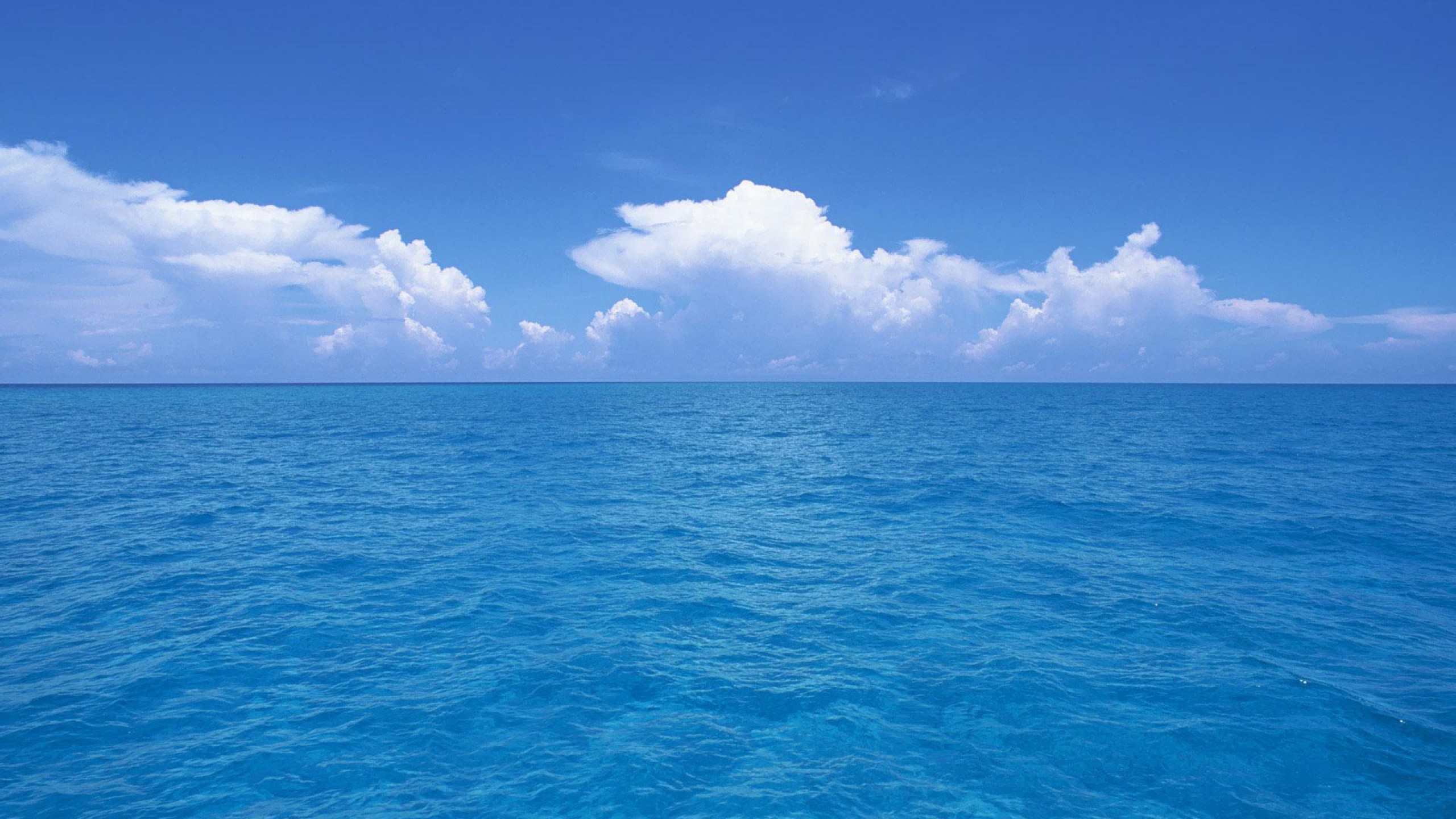 Ocean HD Wallpapers 2560x1440