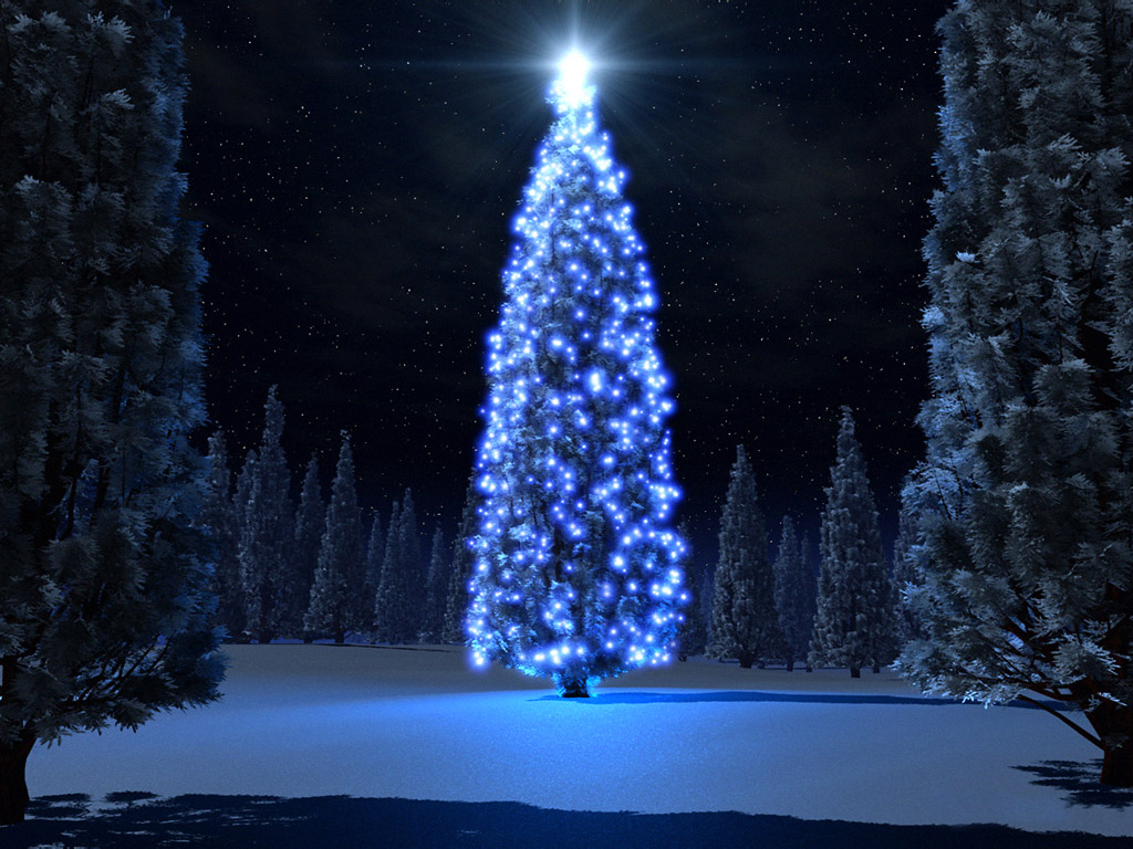 Blue Christmas 1024x768