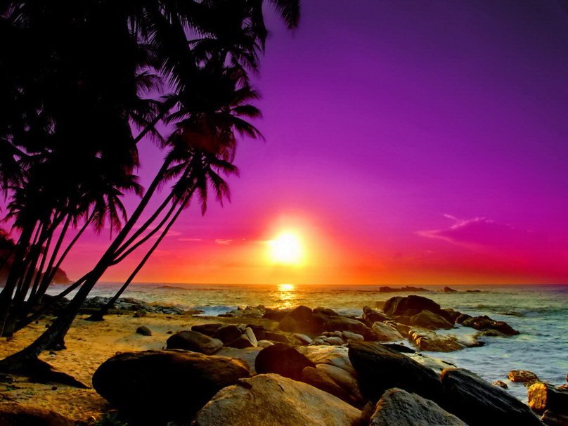 Tropical Island Sunset Wallpaper Tropical Sunset Wallpaper 808x606