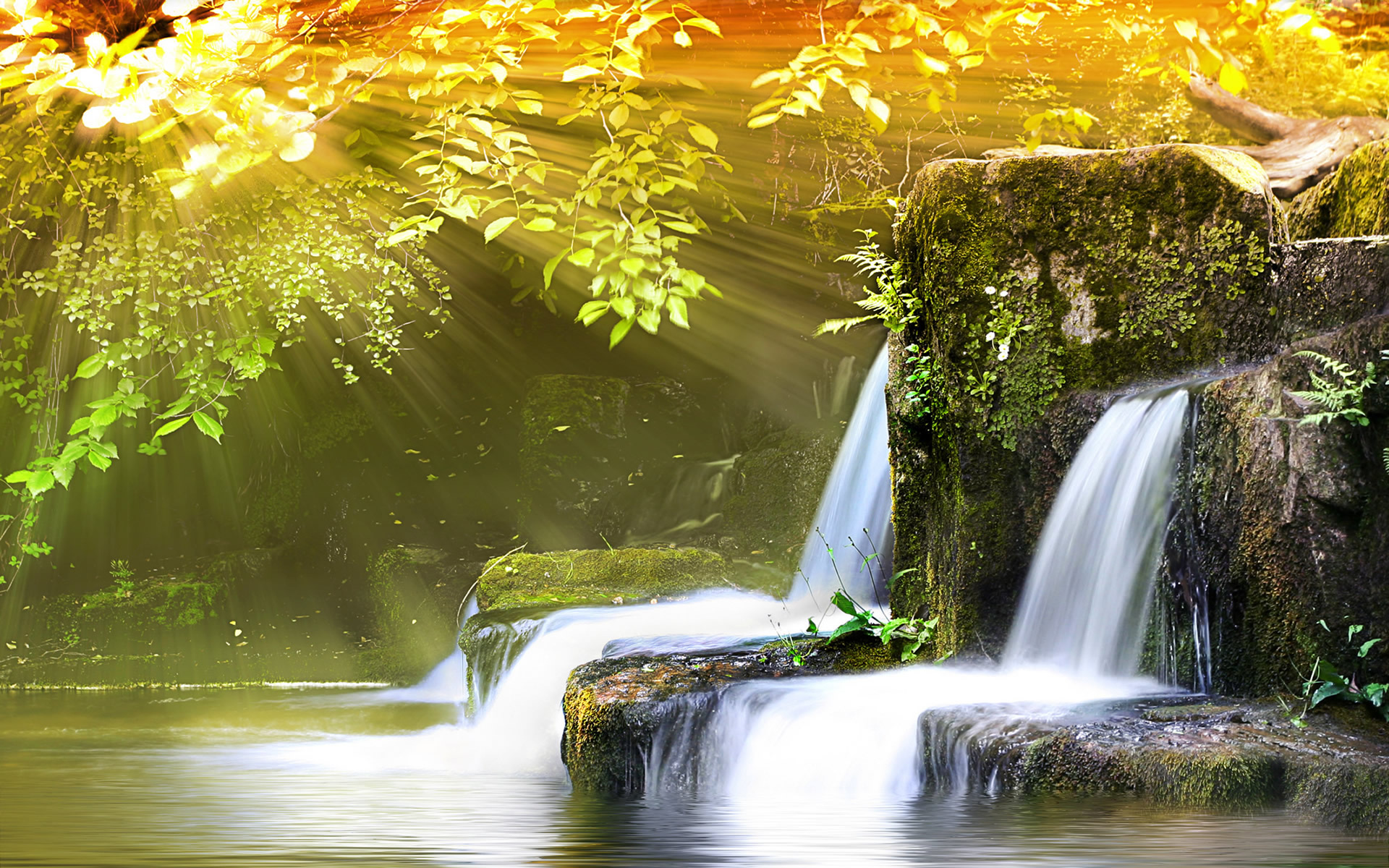 Awesome Nature Wallpapers HD wallpapers   Awesome Nature Wallpapers 1920x1200