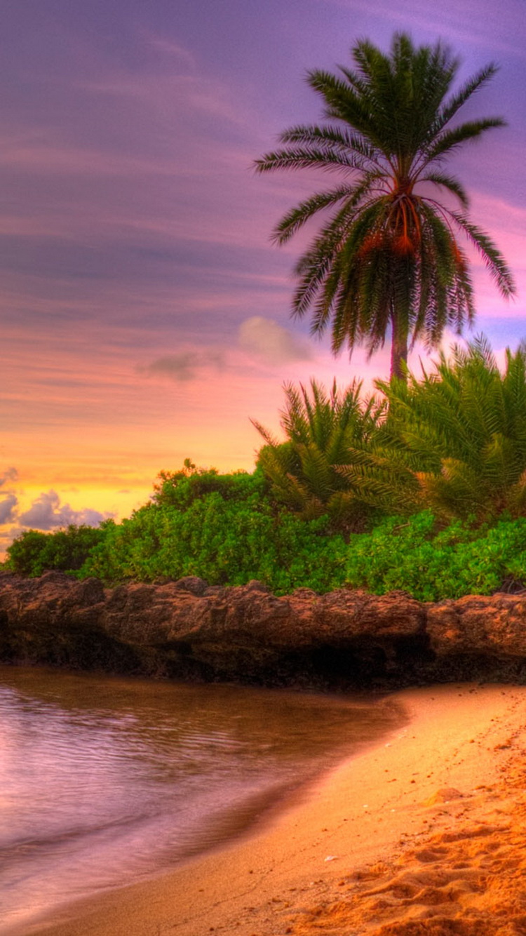 Beach Sunset Tropical Island iPhone 6 Wallpaper iPod Wallpaper HD 750x1334