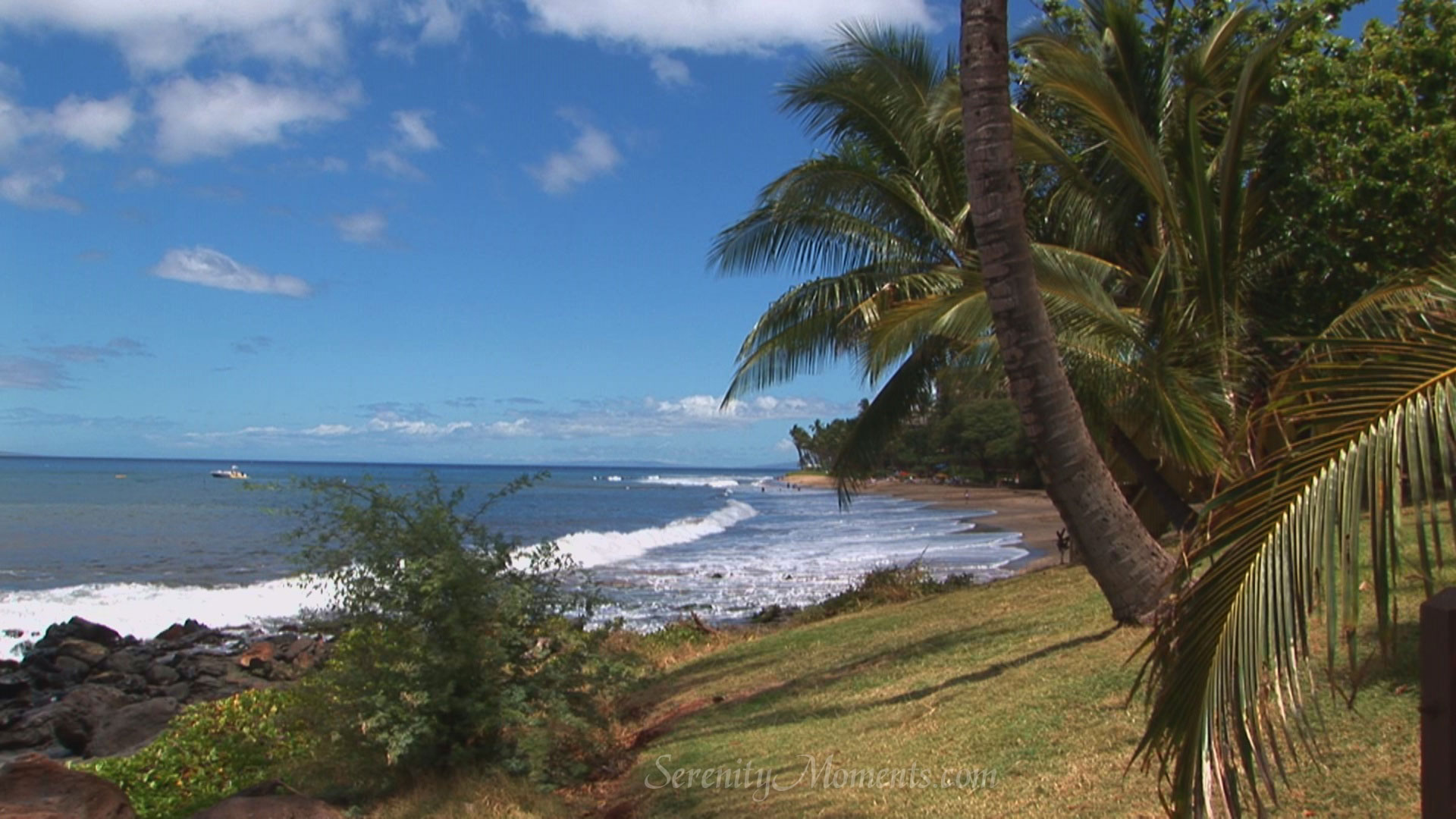 screensavers wallpaper tropical screensaver beach mauai 1920x1080