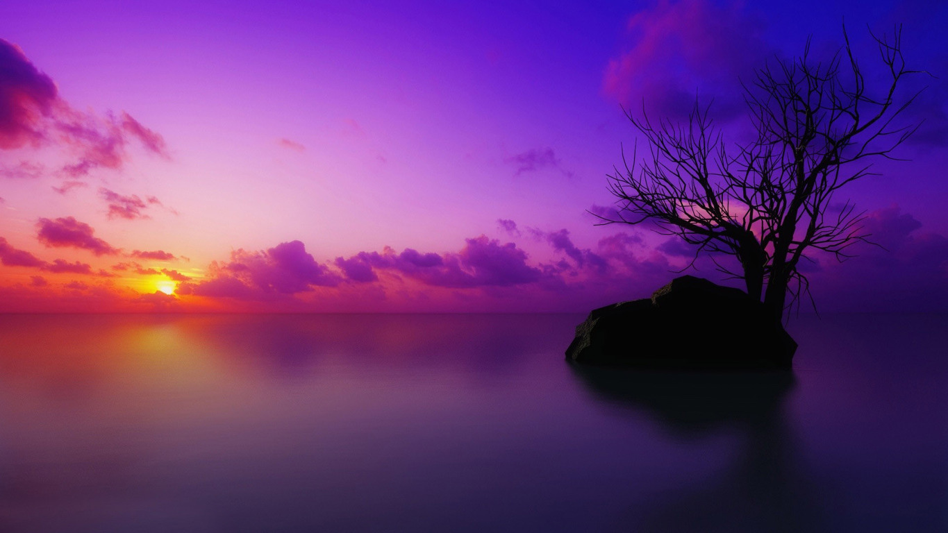 Purple sunset wallpaper 11792 1365x768