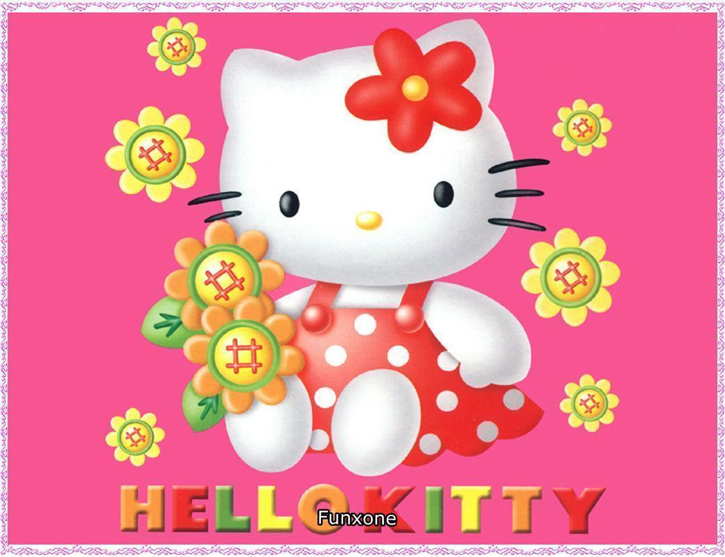 Cute Hello Kitty Wallpapers 1046x804