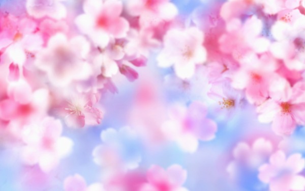  Wallpapers Cute Nature Wallpaper For Laptops   Nature Wallpapers for 600x375