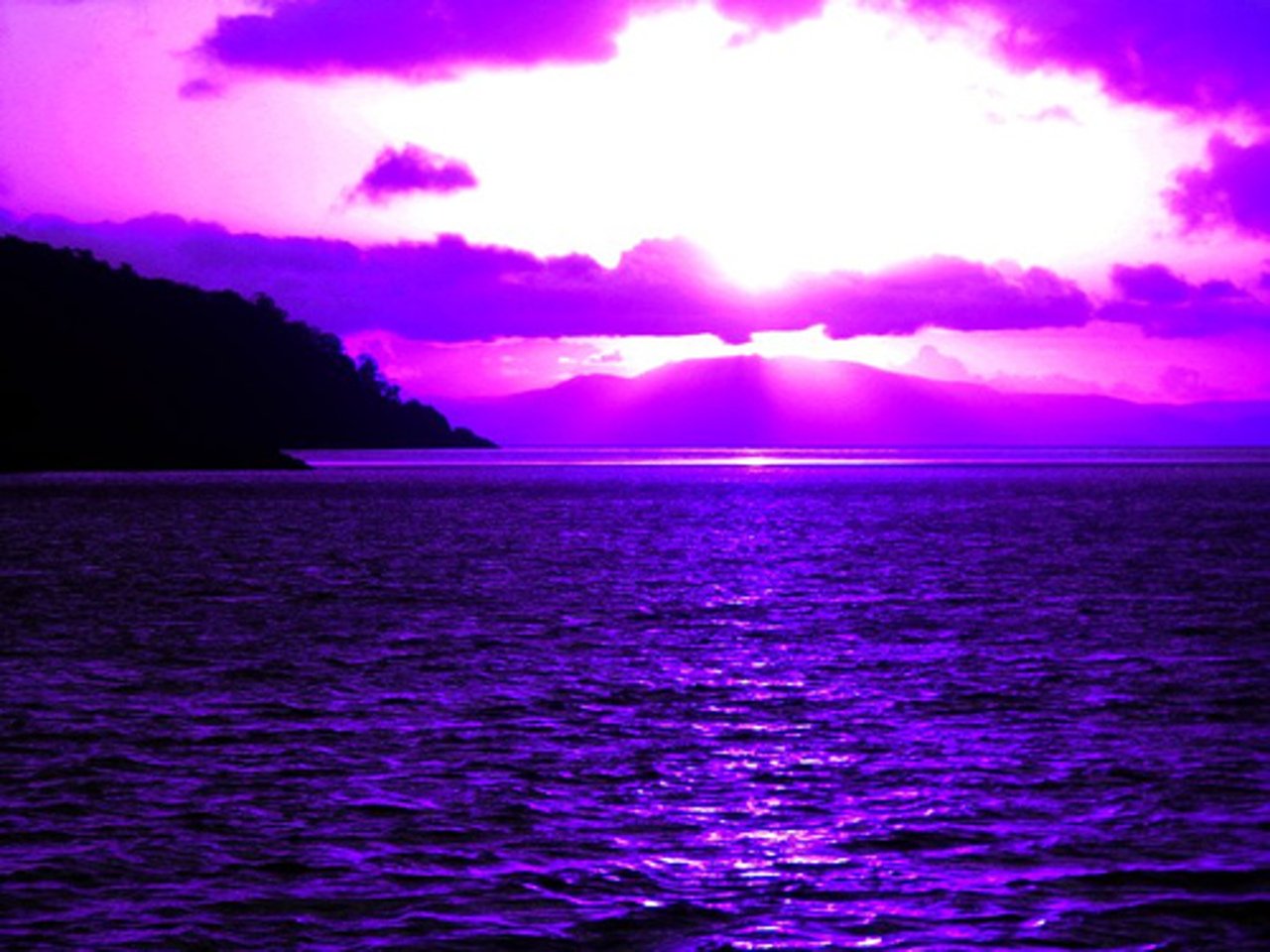 Purple Sunset wallpaper   ForWallpapercom 1280x960