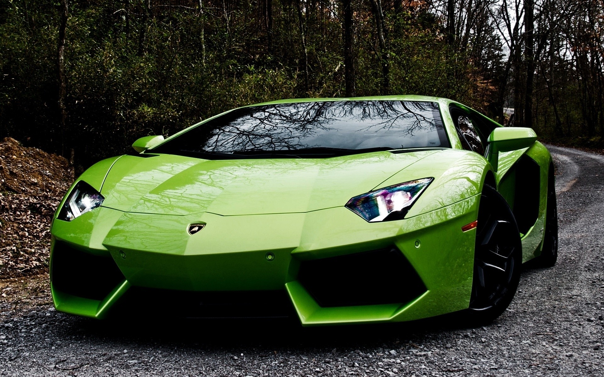 Exotic Lamborghini Car Wallpaper HD Car Wallpapers 1920x1200