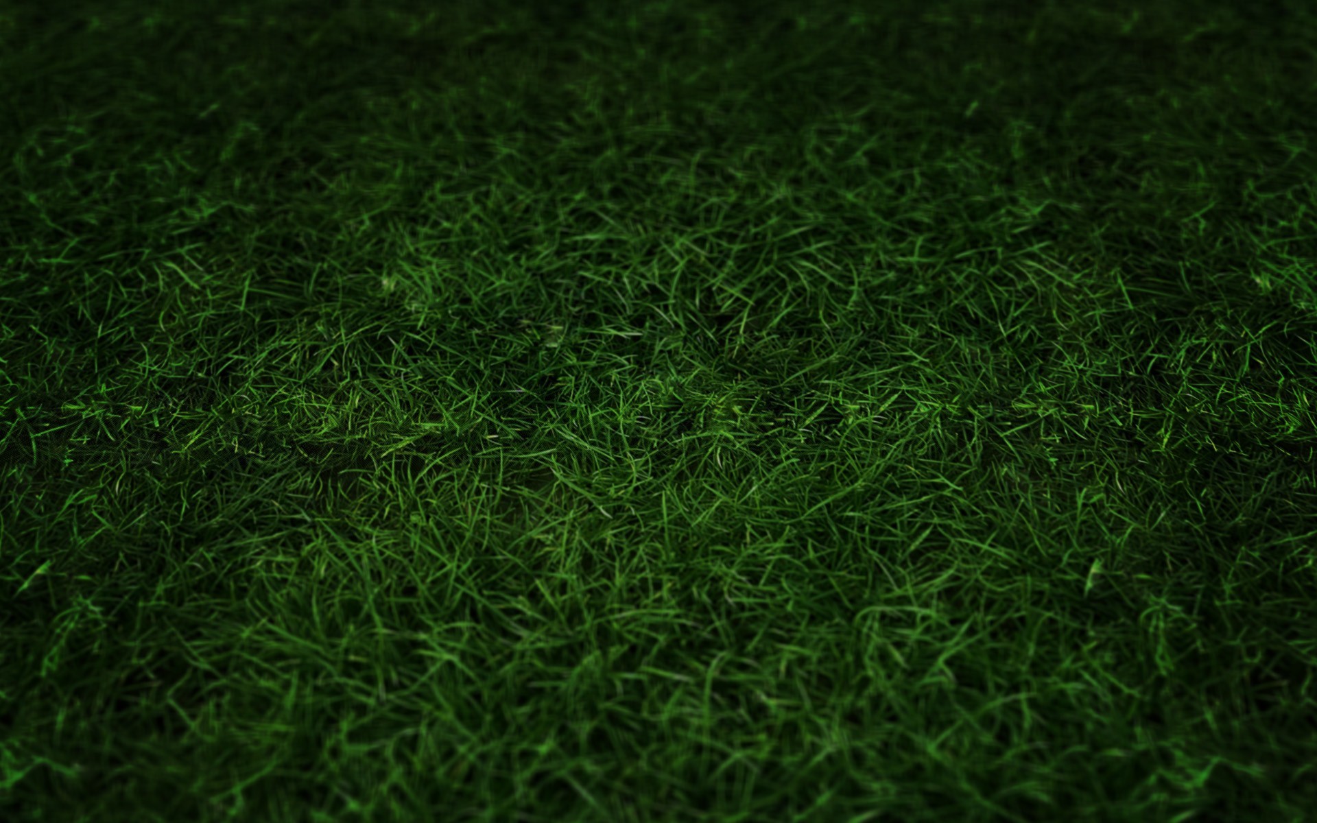 Football Field Grass Wallpaper Green grass 1280x800 wallpaper 1920x1200