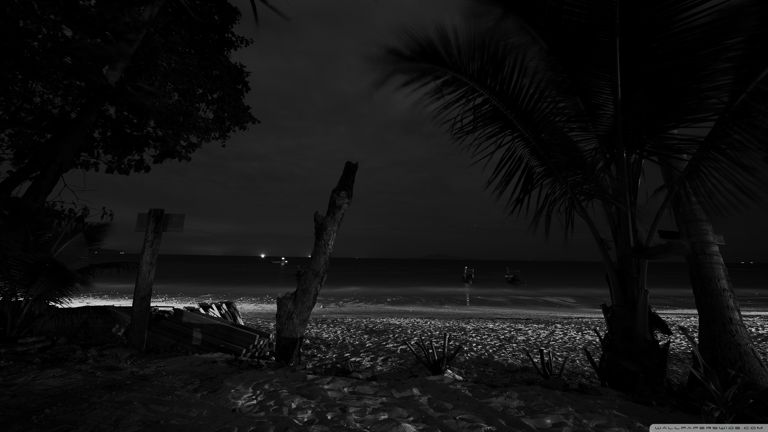  Beach At Night 2 Wallpaper 191 2560x1440 pixel Exotic Wallpaper 2560x1440