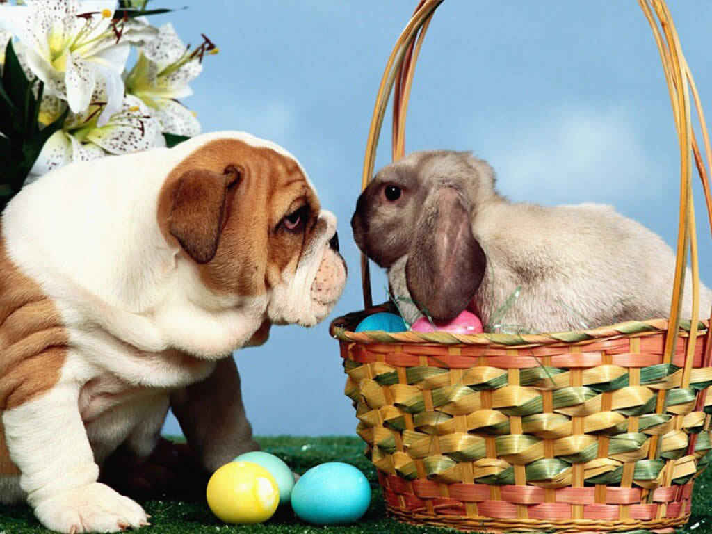 Happy Easter Wallpapers Christian Wallpapers 1024x768