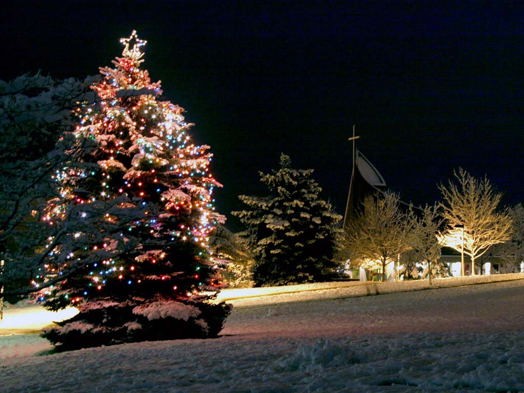 Christmas Tree Desktop Wallpapers   Page 1 1024x768